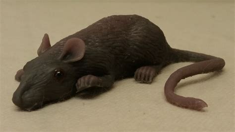 fake mice that look real